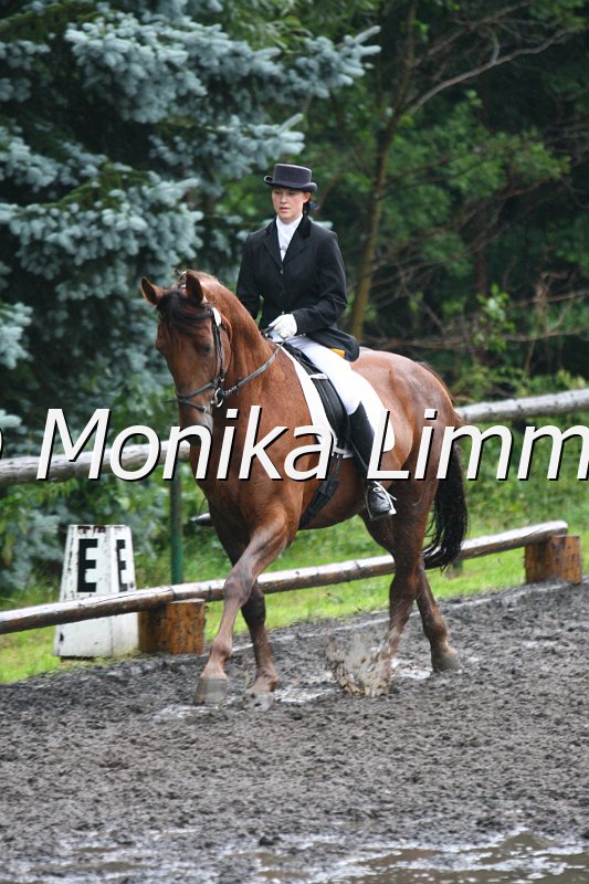 007L7029_Hennessy_Dresspferde A.JPG